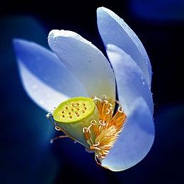 《潜行者2》预售开启 Steam国区标准版定价299元